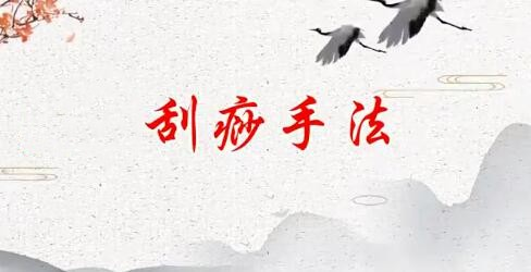刘霞新版人体十二部刮痧视频课程13集-裕网云资源库