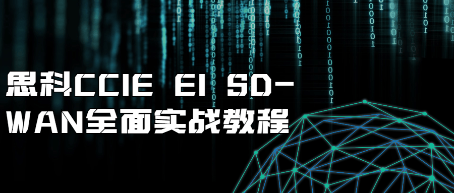 思科CCIE EI SD-WAN全面实战教程-裕网云资源库